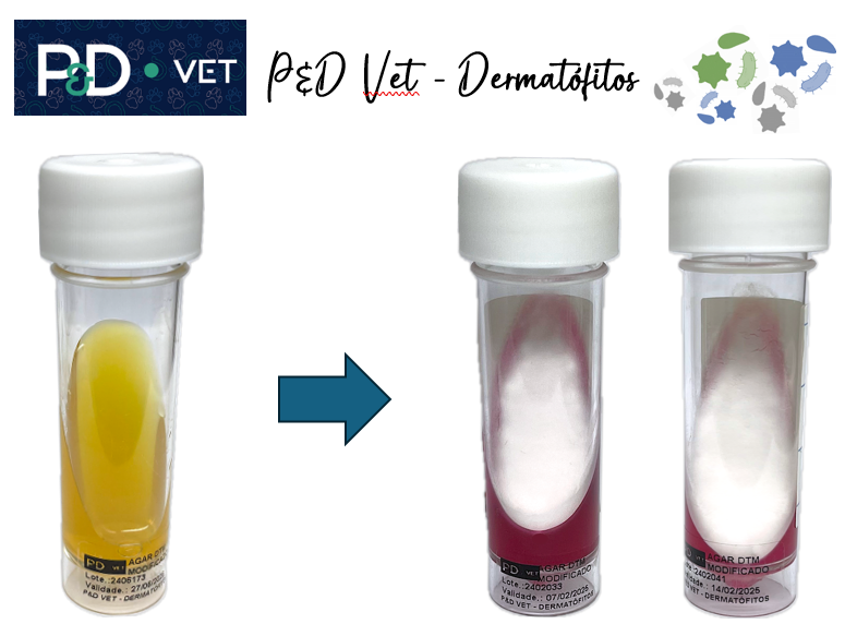 DIAGNÓSTICO DAS DERMATOFITOSES